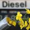 Biodieselproduktion in Sachsen-Anhalt erreicht neuen Höchststand
