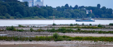 Ein Frachtschiff fährt auf dem Rhein bei Bonn. Der Rhein führt wegen des trockenen Sommerwetters Niedrigwasser. Im Hintergrund ist der Posttower und der Lange Eugen (früheres Abgeordneten-Hochhauses) zu sehen.