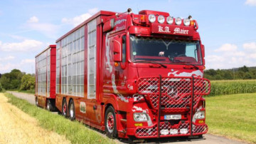 Showtruck Viehtransporter