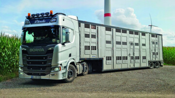 Viehtransport Truck