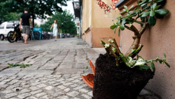 Parken an Gebäudewand: besondere Vorsicht