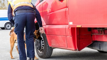 Lkw-Kontrolle mit Hunde