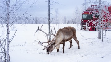 Lkw in Winterlandschaft