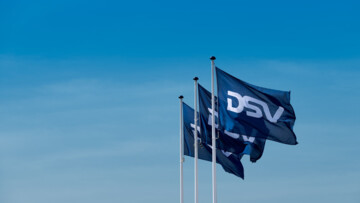 DSV Fahnen