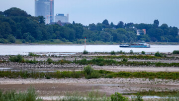 Ein Frachtschiff fährt auf dem Rhein bei Bonn. Der Rhein führt wegen des trockenen Sommerwetters Niedrigwasser. Im Hintergrund ist der Posttower und der Lange Eugen (früheres Abgeordneten-Hochhauses) zu sehen.