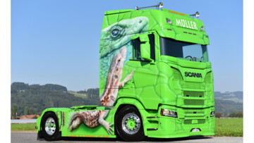 Aufmacher Echsentruck