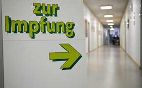 Schweinegrippe: Amt warnt vor Panik Schweinegrippe: Amt warnt vor Panik Bild