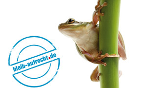 Vorsicht, Falle! Vorsicht, Falle! Bild