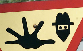 Neun Fahrerhäuser aufgebrochen Neun Fahrerhäuser aufgebrochen Bild