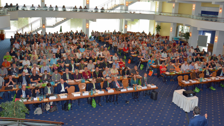 BKF-Symposium