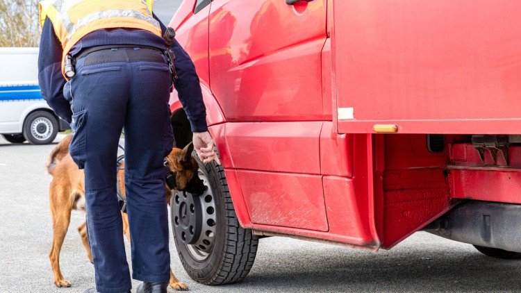 Lkw-Kontrolle mit Hunde