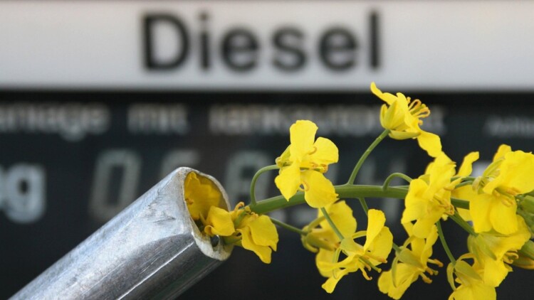 Biodiesel