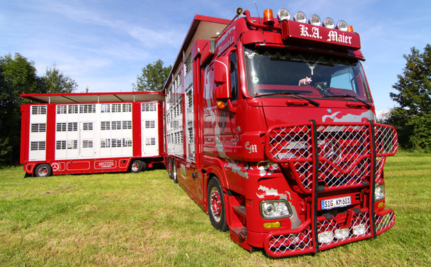 Showtruck Mercedes Actros V8 Tiertransporter