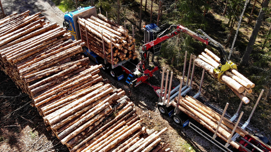 Holztransport_7