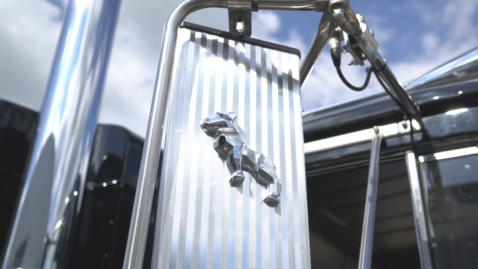 Mack Rubber Duck Markenzeichen