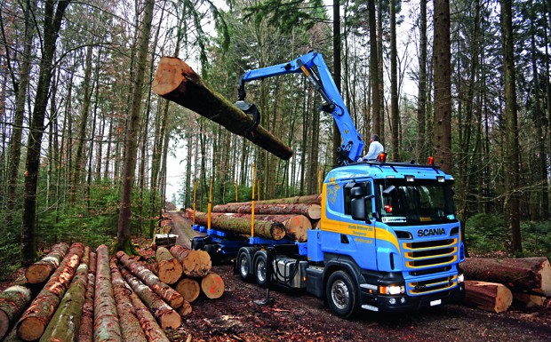 Firmenporträt Martin Wittwer