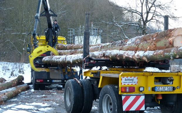 Holzlogistik