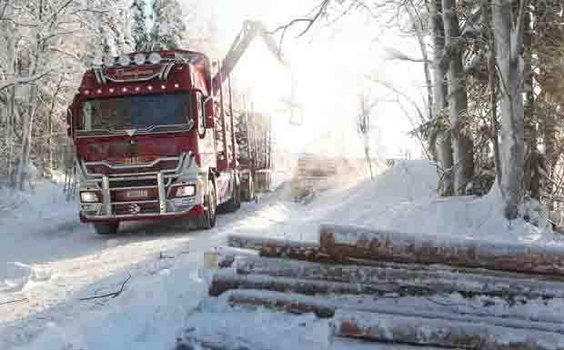 Showtruck Rotkaeppchen-Sisu