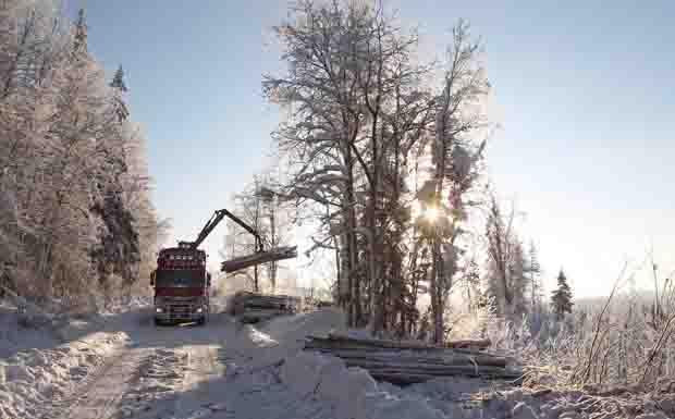Showtruck Rotkaeppchen-Sisu