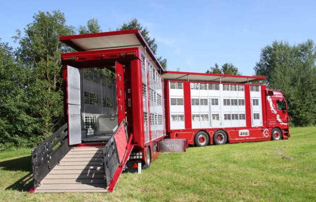 Showtruck Viehtransporter