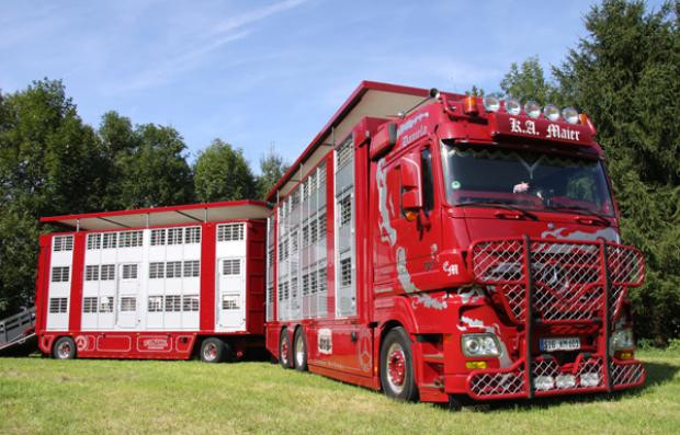 Showtruck Viehtransporter