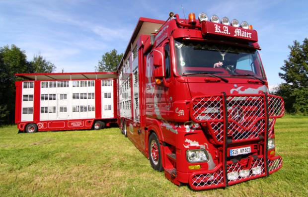 Showtruck Viehtransporter