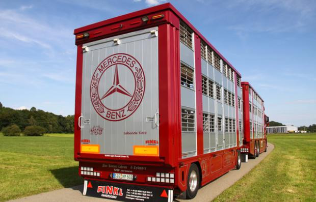 Showtruck Viehtransporter