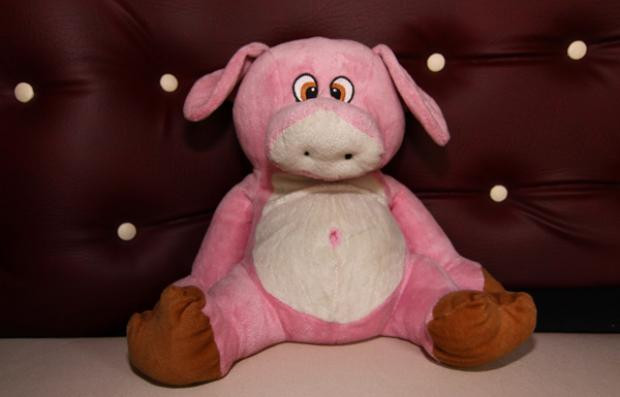 Showtruck Viehtransporter