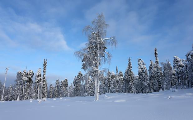 Sisu Polar DK 16 M Schneeplug